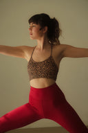 Chleo Legging Passion